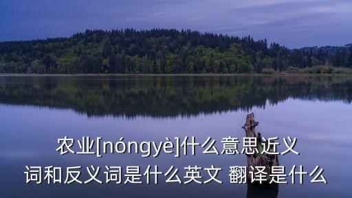  农业[nóngyè]什么意思近义词和反义词是什么英文 翻译是什么