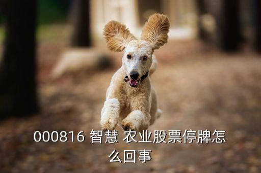 智慧农业怎么了