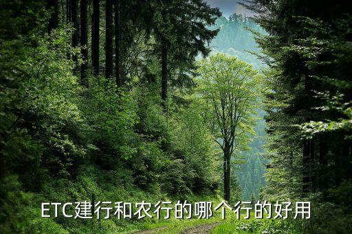 ETC建行和农行的哪个行的好用