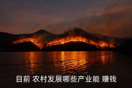 农村什么农业比较好赚钱,农村弄什么赚钱