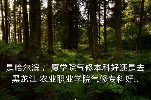 农业广厦怎么样,黑龙江广厦学院怎么样