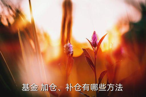 农业银行定投怎么加仓,定投农业银行股票收益统计