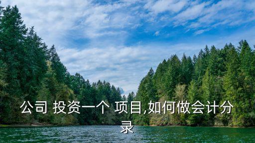 农业项目投资怎么做账,非股东打入项目投资款,,如何做账