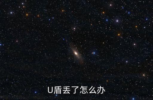农业银行u盾怎么没了