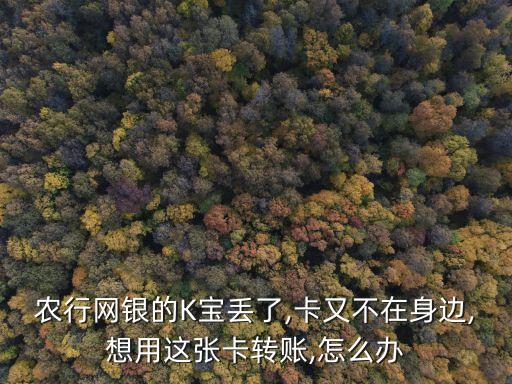 农业银行怎么增加付款账户