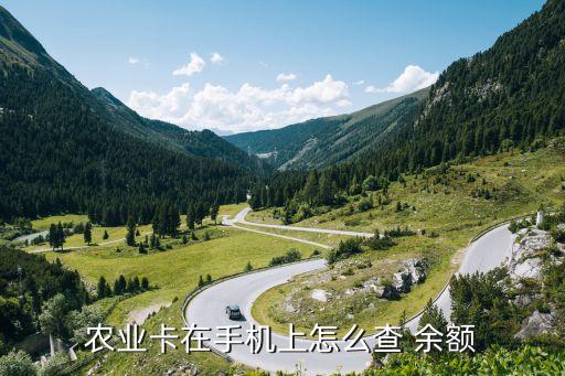 短信怎么查农业银行余额,农业银行95599短信查余额