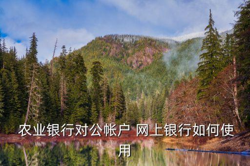 农业银行怎么在网上用,网上农业银行怎么登录