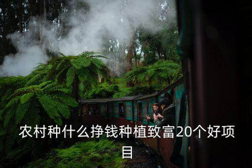 农村农业怎么投资划算些,农业农村投资项目管理中心