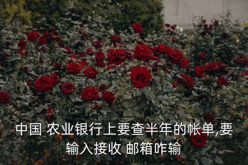 农业怎么绑定邮箱,qq号怎么绑定邮箱