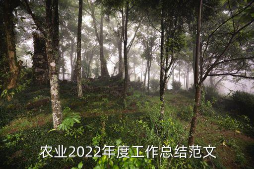  农业2022年度工作总结范文