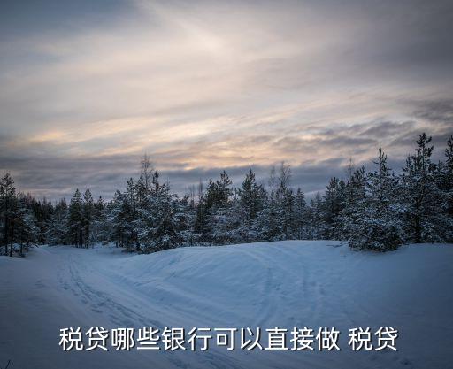 农业银行怎么申请税贷,广西农业银行税贷申请流程图