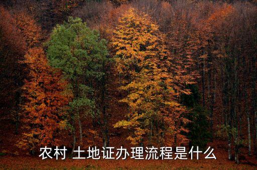 农业项目怎么办土地证