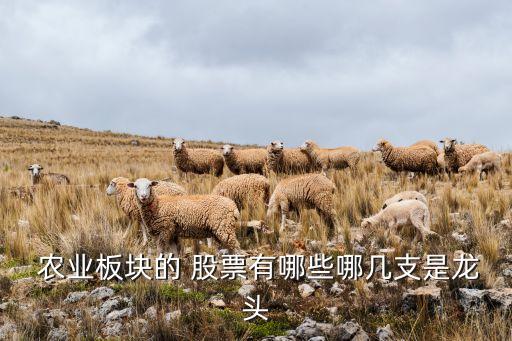 投资农业怎么选股票,农业投资计划书