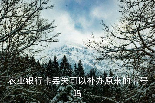 农业银行怎么网上换卡