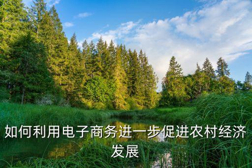 电商怎么和传统农业结合