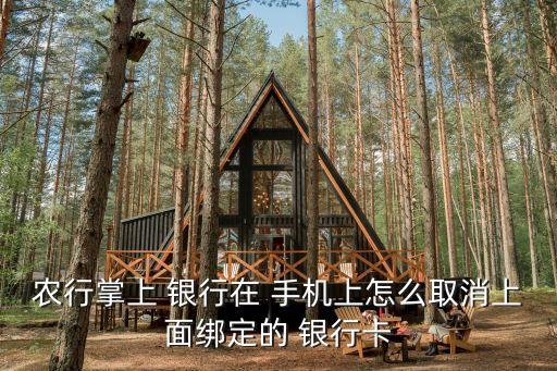 农业银手机银行怎么解绑,农业手机银行怎么用不了