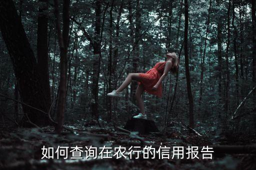 农业银行助学贷款怎么查,安徽农业银行助学贷款