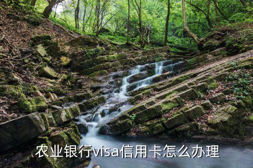 农业银行透支卡怎么办