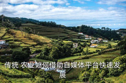 怎么做好农业短视频,蜜蜂TV农业知识短视频