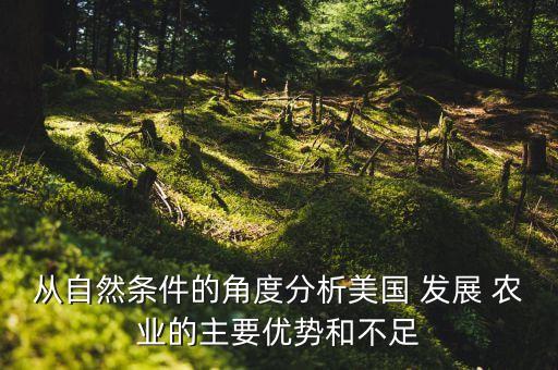 从自然条件的角度分析美国 发展 农业的主要优势和不足