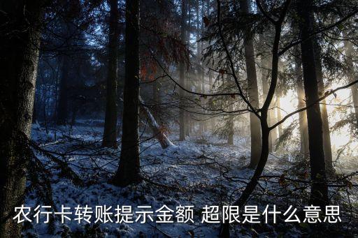 农业银行超限手续费是什么