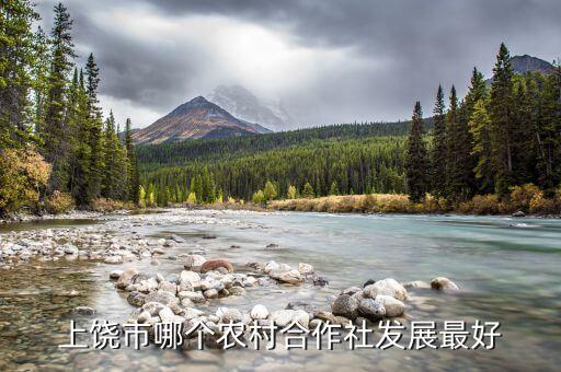 泰茶农业怎么样,山东泰茶农业
