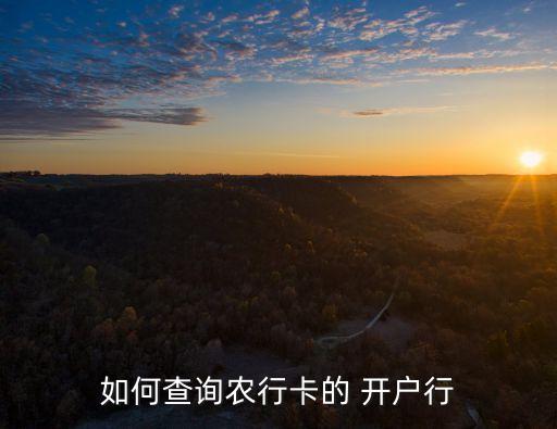 农业银行卡怎么查开户时间,怎样查农业银行卡的开户地址和支行