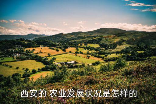 西安农业产什么,河南农业主要产什么?