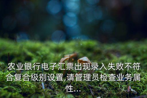 农业银行承兑怎么复核申请