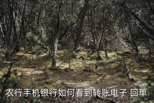 农行手机银行如何看到转账电子 回单
