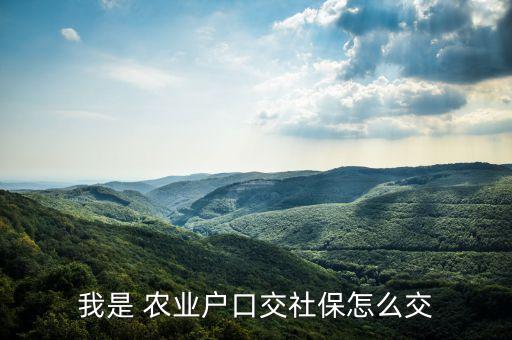 农业农村新保险怎么交,农村农业发展方向是什么