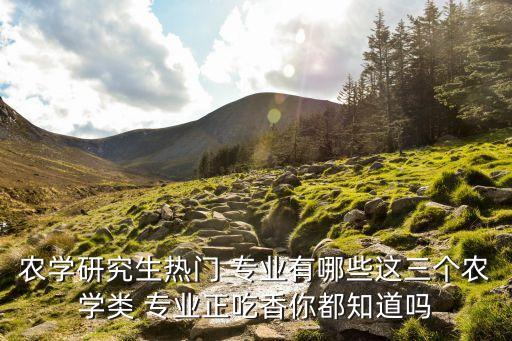 农业考研怎么学好专业呢