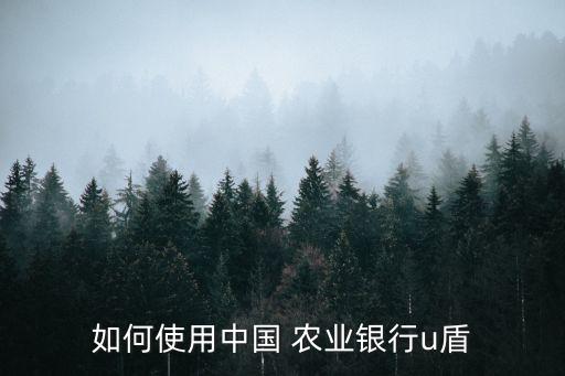 农业优盾怎么用,农业银行卡优盾可以补办吗