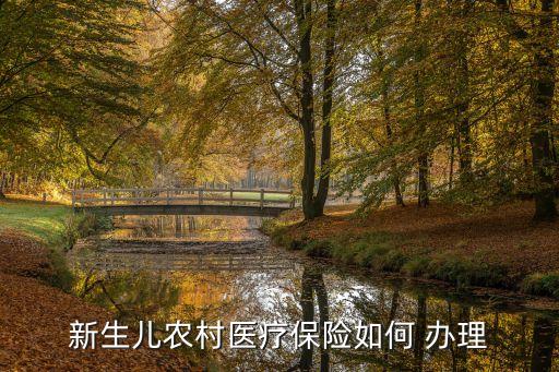 怎么办理农业医保卡流程,支付宝办理新生儿医保卡的流程