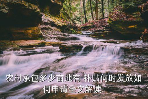 农业怎么拿政府补贴,农业公司收到政府补贴账务处理