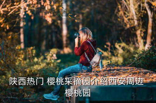红苗农业樱桃基地怎么样,义乌红苗樱桃基地