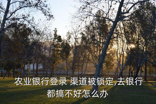 农业银行渠道未开通怎么解决