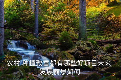 种植专业农业怎么样发展,新型农业发展种植模式