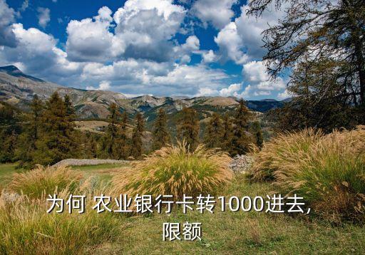 农业银行怎么转入也有限额