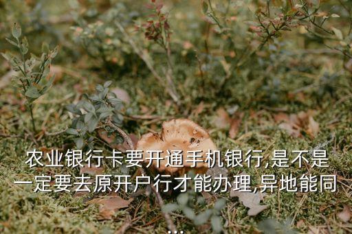 外面没有农业银行怎么办,农业银行被限额5000了怎么办