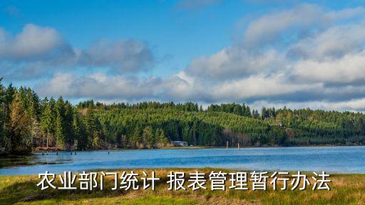 乡镇农业报表怎么做,乡镇基本信息报表怎么做