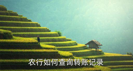 农业银行怎么查打款明细,查农业银行打什么电话