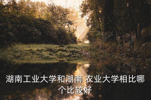 长沙农业大学的文案怎么样