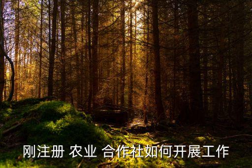 刚注册 农业 合作社如何开展工作