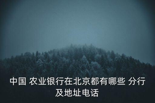 农业银行哪个分行怎么查,怎么查农业银行分行编号