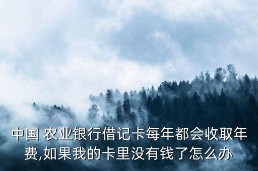 农业银行办卡没有钱怎么办,17岁去农业银行办卡怎么办