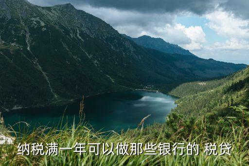 农业银行税贷怎么样