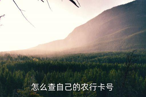 农业银行卡打什么号码查询,怎样查农业银行卡号码查询