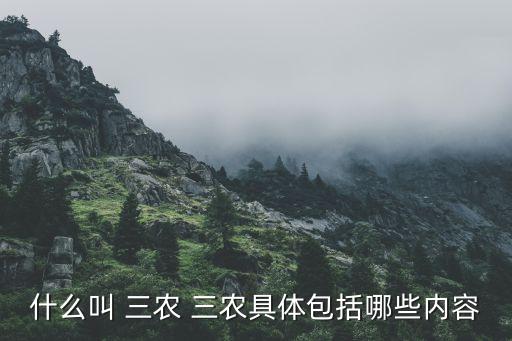 农业里的三农指什么,三农一支指什么意思