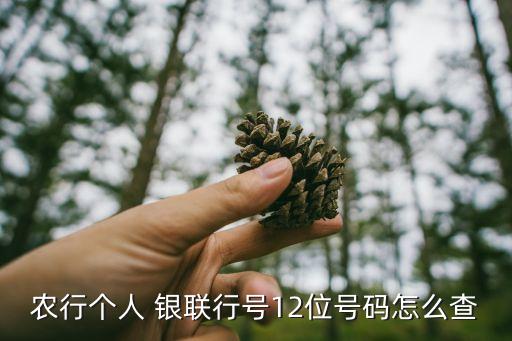 平潭农业银行银联号是什么,平潭城关中学那边的农业银行是什么支行